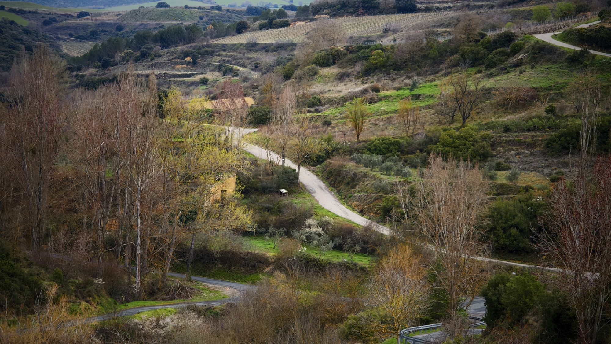 📌’Tres pueblos unidos por la naturaleza: Elvillar, Lanciego y Kripan se unen para plantar árboles en su frontera común’