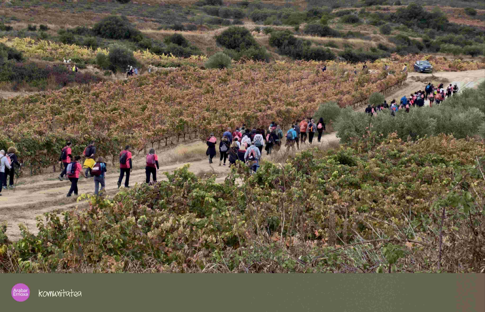 📌’Oion se llena de vida con la VIII Wine Run Rioja Alavesa: más de 3.000 participantes entre viñedos y olivos’